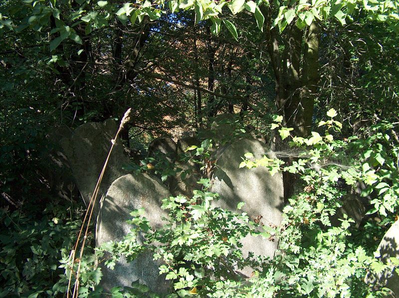 Old headstones among the trees