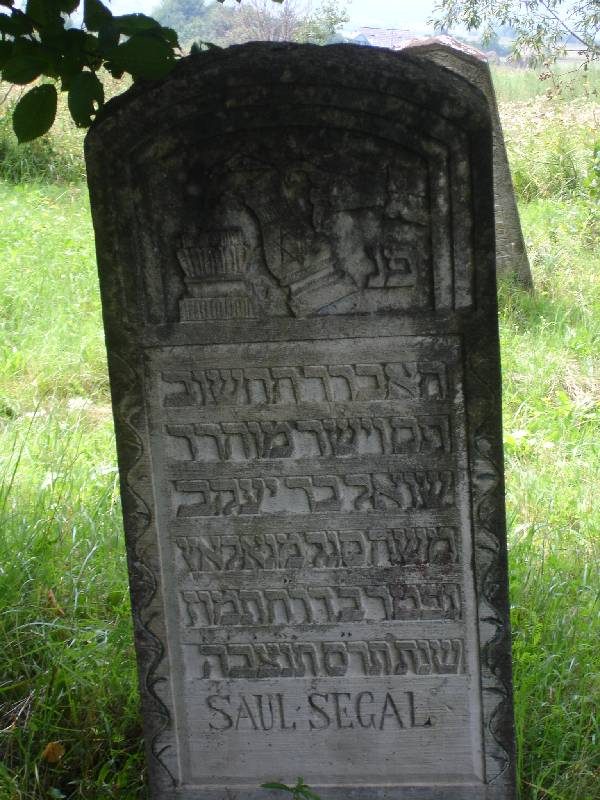 Headstone of Saul Segal, Arbore