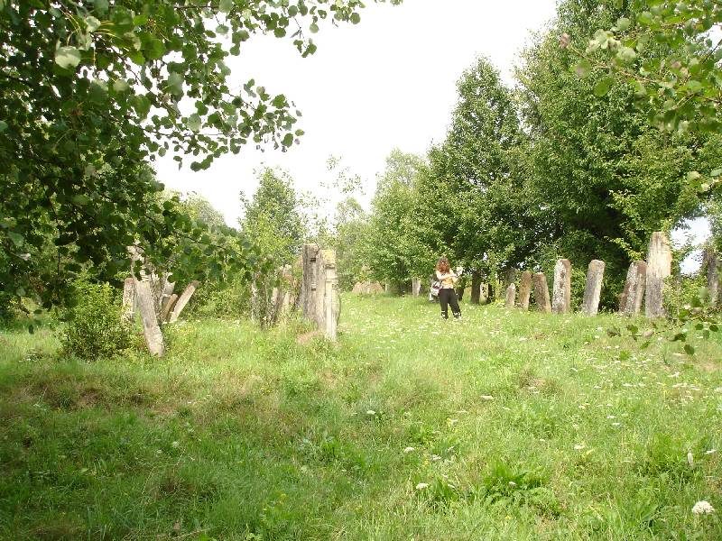 A grassy cemetery path lined with trees, Arbore
