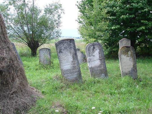 Scattered headstones in a meadow, Arbore