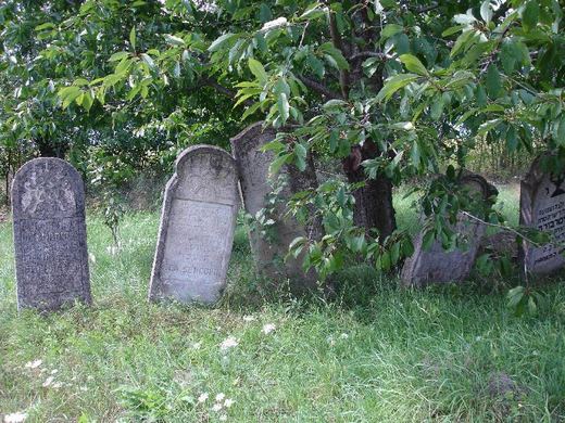 Headstones under fruit trees, Arbore