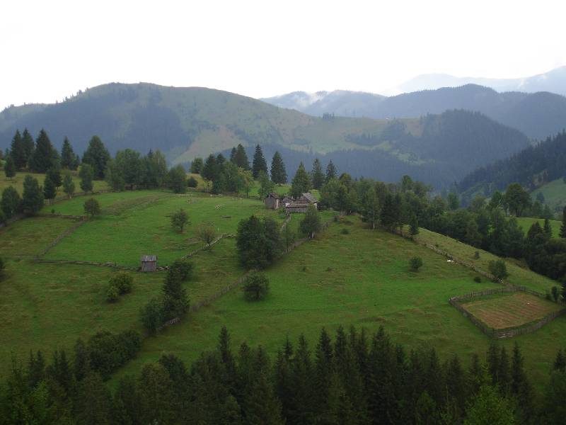 Hillside farms and forested mountains, Bukovina