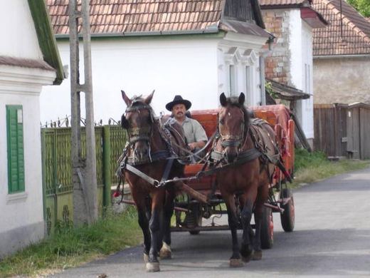 A horse-drawn cart on a village road