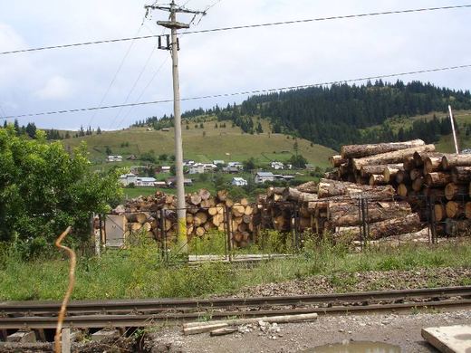 A timber yard below the hills, Vatra Dornei