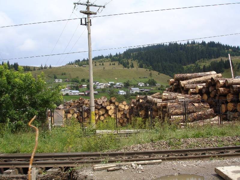 A timber yard below the hills, Vatra Dornei