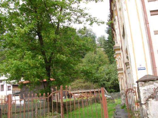A garden beside the synagogue, Vatra Dornei