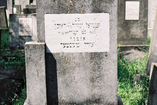 Shmuel Sanvill (or Zanvill) son of Reuven passed away on the 29th of Tishrei 1949 Sanvill SCHACHTER