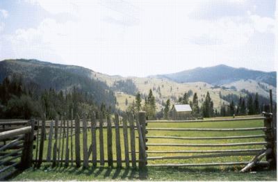 View in the Bukovina mountains