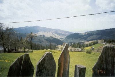 View in the Bukovina mountains