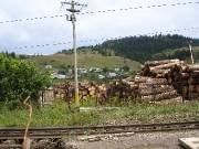 A timber yard below the hills, Vatra Dornei