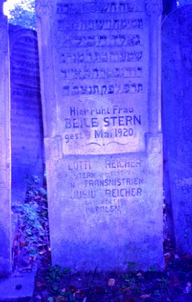 Headstone from the Jewish Cemetery of Radauti . Note the additions made after WWII for some victims of Transnistria. This headstone is related to several…