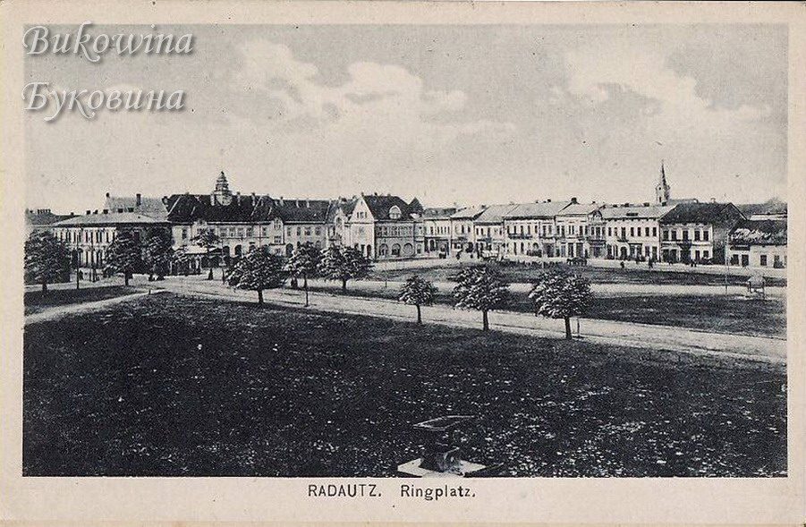 Large grassy square with young trees and paths, lined by buildings including the domed town hall and a church spire