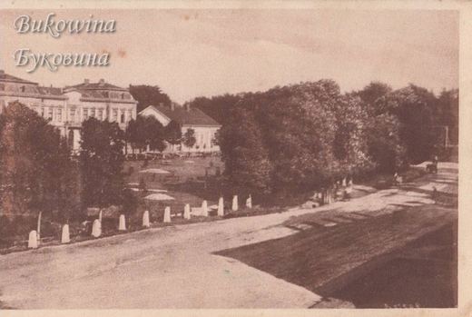 Road edged with white stone posts beside a park with dense trees, and large buildings on the left