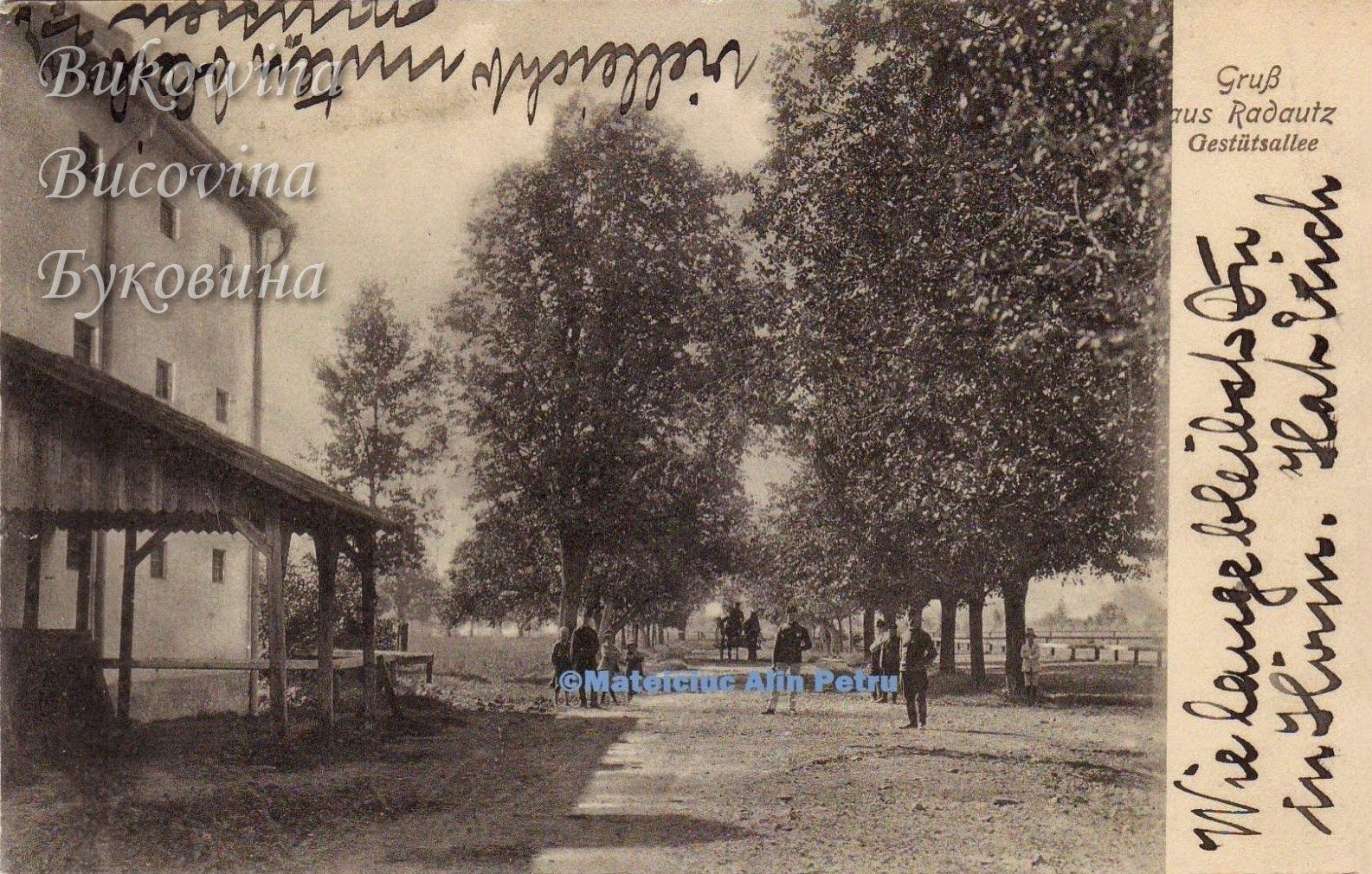 Tree-lined dirt avenue beside a tall building with a wooden shelter, people standing on the road, handwriting on top