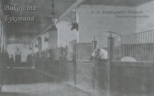 Interior of a long stable with horses in barred stalls, deer antlers on the walls and hanging lanterns