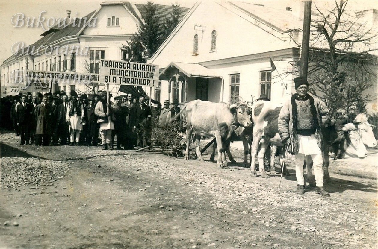 Procession with banners hailing the workers' and peasants' alliance, led by a man in folk dress and an ox cart