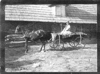 Old photograph of a horse and cart in front of a wooden house