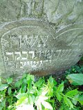 Rakhiv-tombstone-371