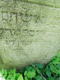 Rakhiv-tombstone-553