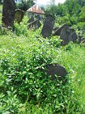 Rakhiv-tombstone-561