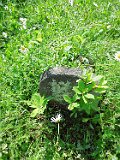 Rakhiv-tombstone-596