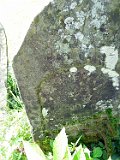 Rakhiv-tombstone-610