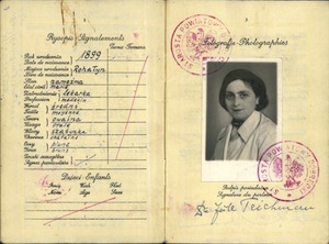 1934 Jute Aliyah passport