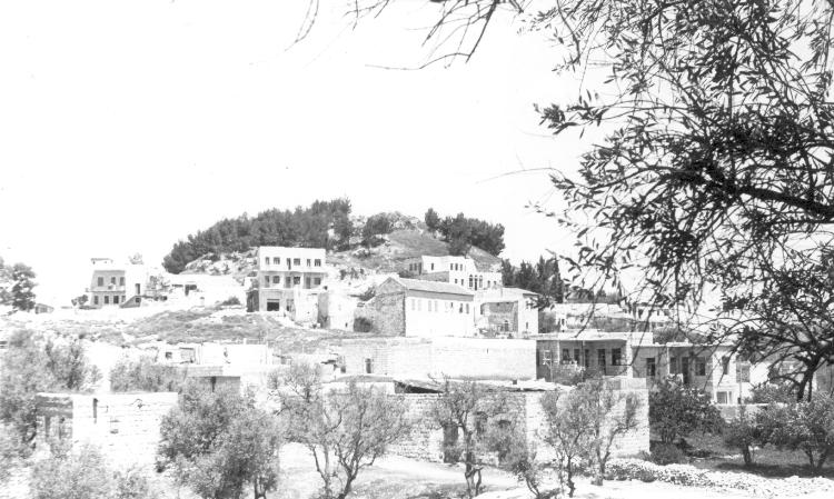 Safed Citadel
