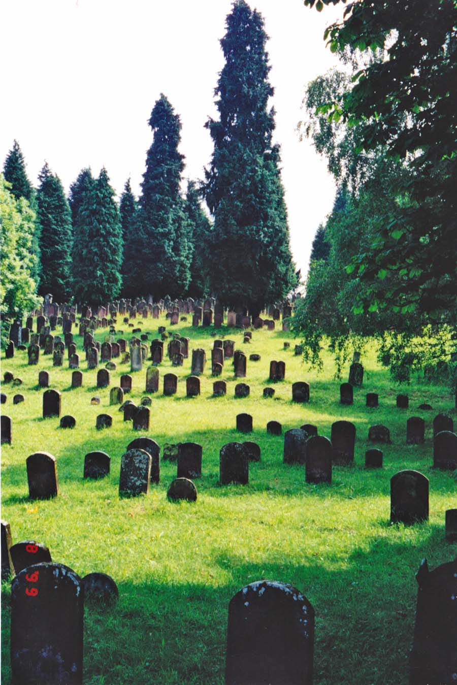 Schmieheim Cemetery
                        view