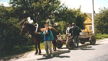 Seta horse cart