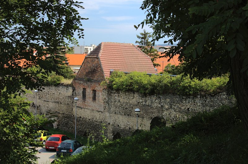 Synagogue5