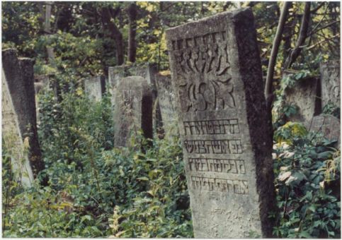 From the "new" Sniatyner, Ukraine Jewish Cemetery.