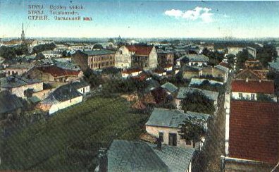 Color postcard of Stryj, 1917