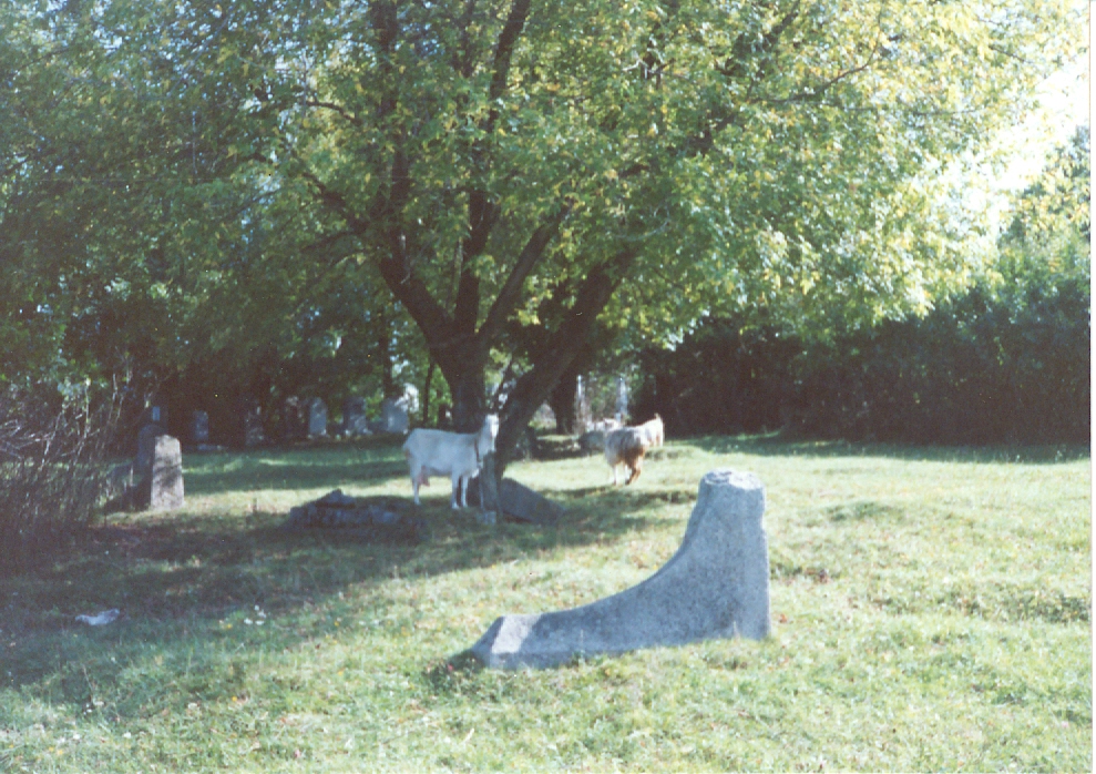 Tarashcha Cemetery