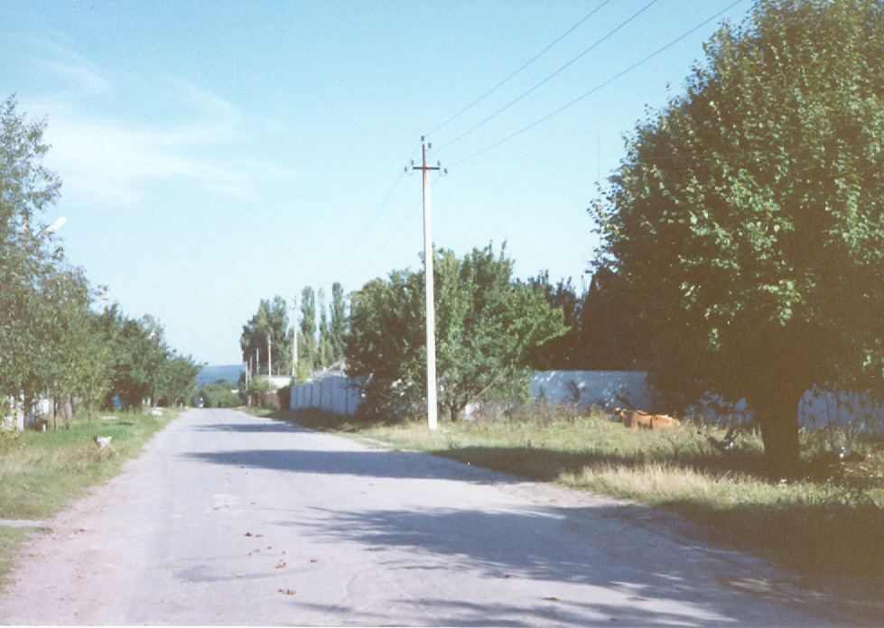 Road to Tarashcha Cemetery