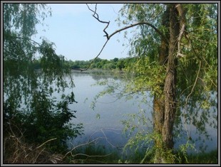 The lake of Ternivka