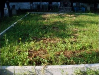 Ternivka mass grave