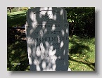 Hebrew-Cemetery-219