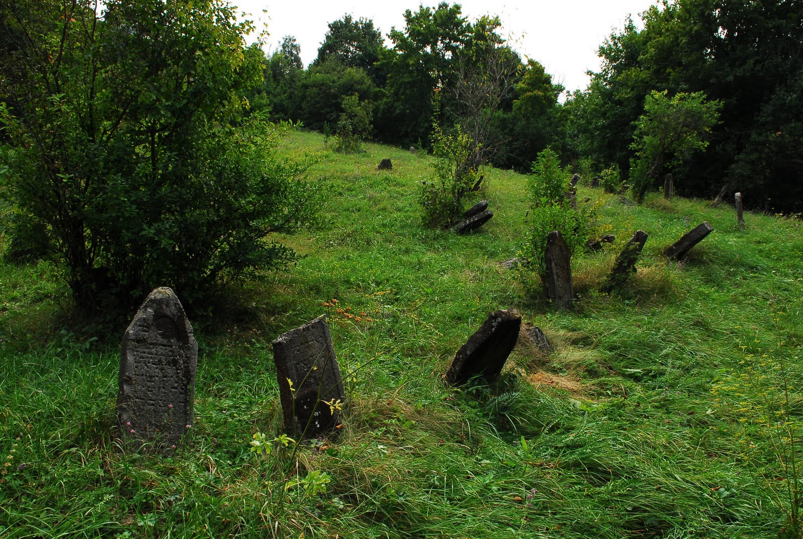 Verbovets Cemetery
