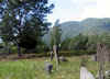 cemetary