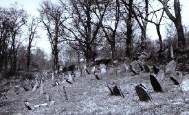 Svihov Cemetery