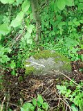 Repynnye-tombstone-066
