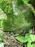 Repynnye-tombstone-071