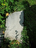 Synevyr-tombstone-118